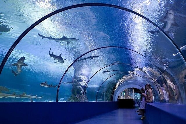 The Most Comfortable Way to Explore Antalya Aquarium: Travel Freely by Renting a Car